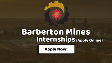 Barberton Mines Internships